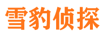 凌海外遇出轨调查取证